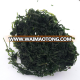 Machine dried kelp laminaria seaweed